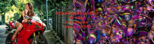 гашик Белоозёрский