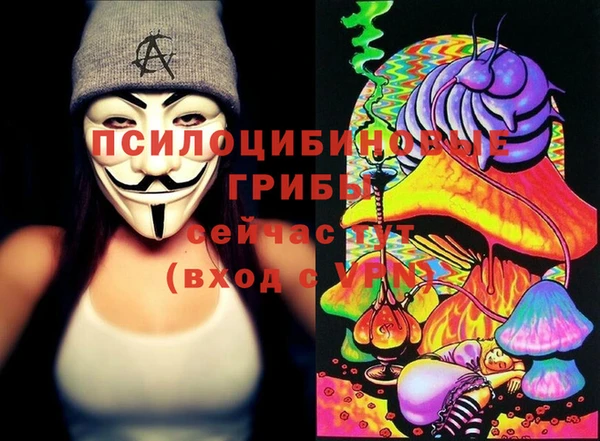 гашик Белоозёрский