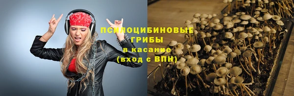 гашик Белоозёрский